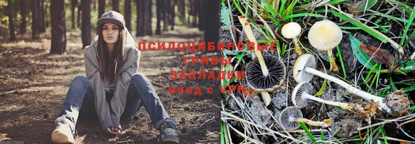 дмт Нягань