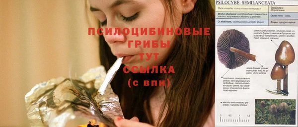 ECSTASY Бугульма