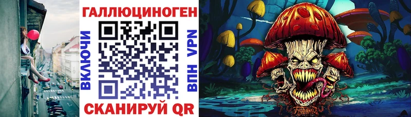blacksprut ТОР  Зея  Псилоцибиновые грибы ЛСД 