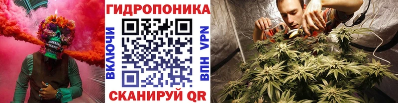 Канабис сатива Зея